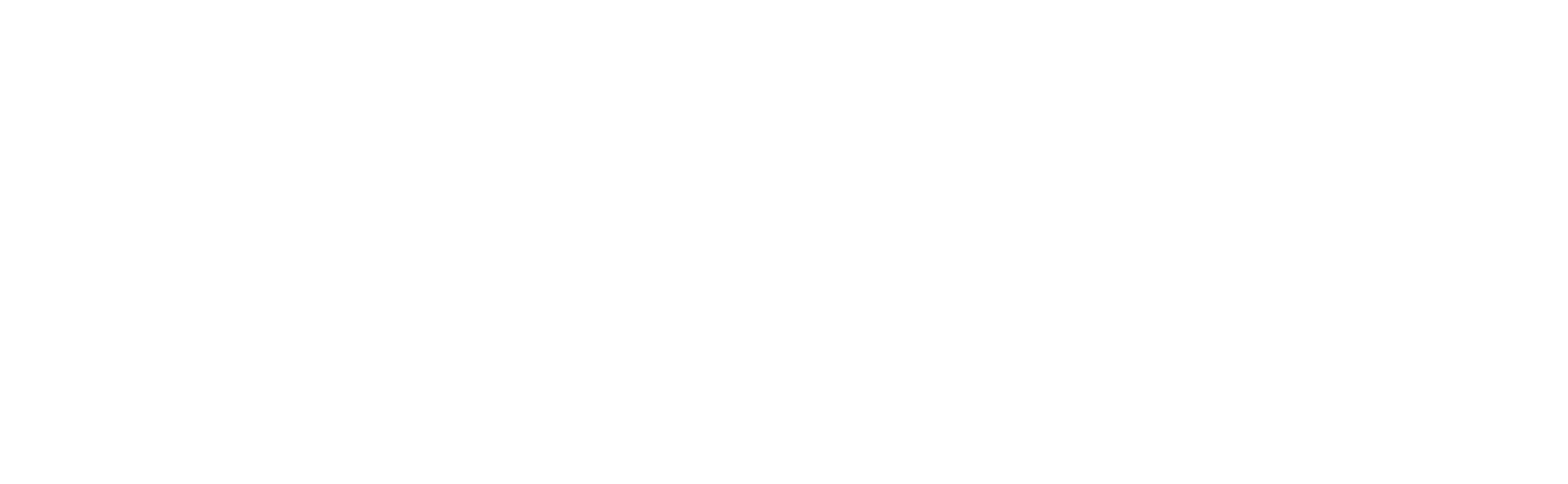 Stan's NoTubes - logo - white