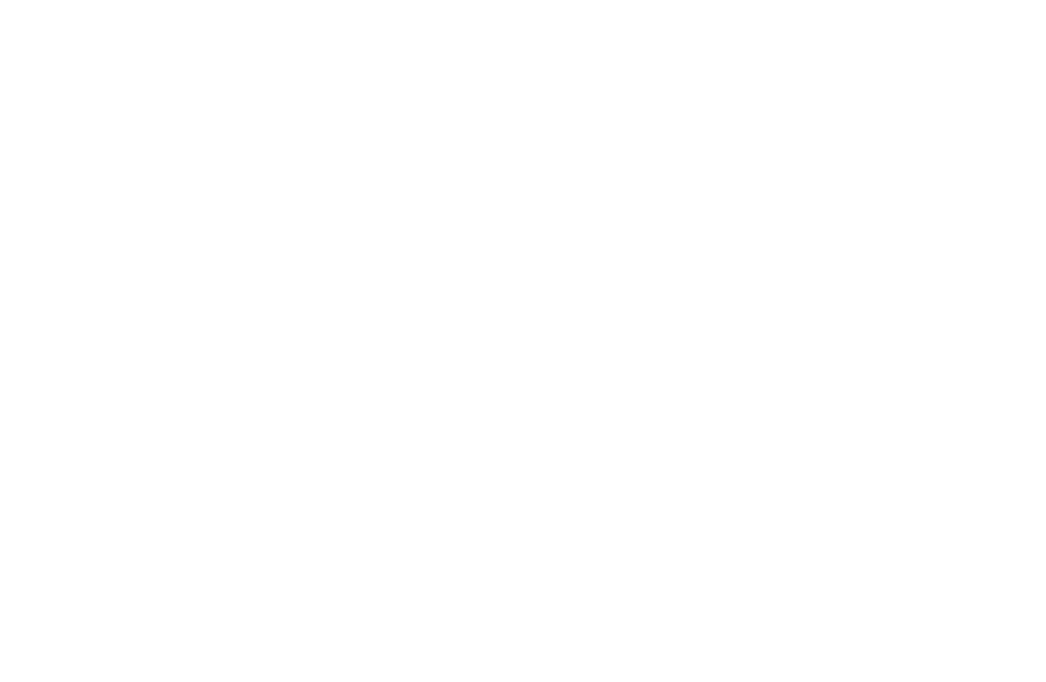 Apidura - White Logo