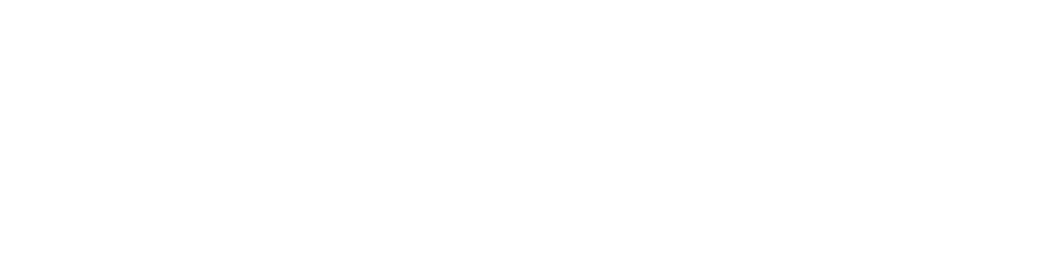 SDG White Logo