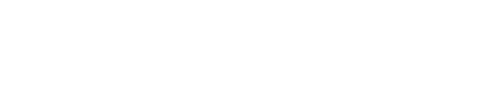 X Vision White Logo