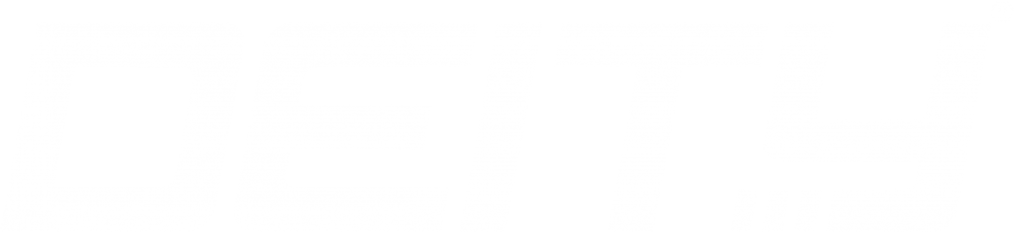 DEITY Logo (White)